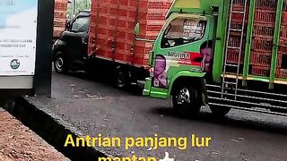 ayam broiler || kata kata lucu 387