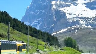 Traveling in Switzerland/Beautiful seen of train in Switzerland