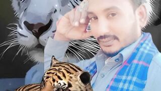 My best tiger
