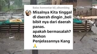 Misalnya kita tinggal didaerah dingin, beli bibit lele didaerah panas, Apakah itu bermasalah❓