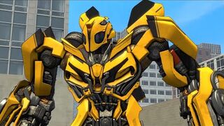 TLK Bumblebee Transforms!