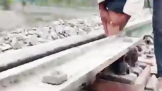 festtrains