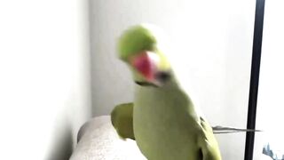 Ты вообще кто такой ????