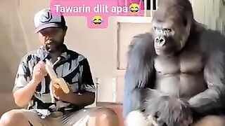 Funny video