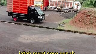 ayam broiler || kata kata lucu 395