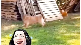 Юмор????