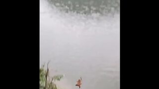 New Funny Animals 3