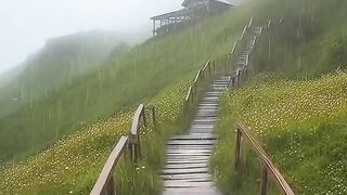 Nature 232