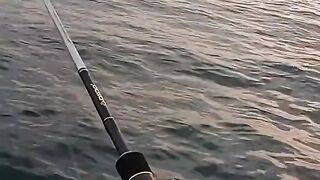 Lucky day i got big fish again‼️????