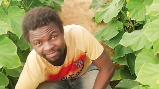 Farmer.