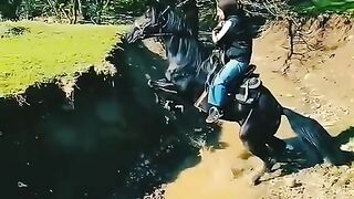 horse_????????_power_????????
