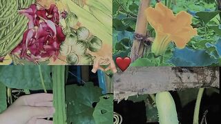Vegetable#Monetisasi,@JangkauanLuas