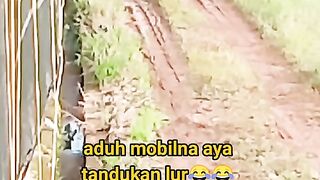 ayam broiler || kata kata lucu 403