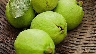 GUAVA