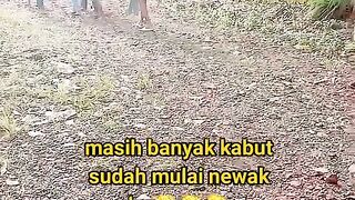 ayam broiler || kata kata lucu 405