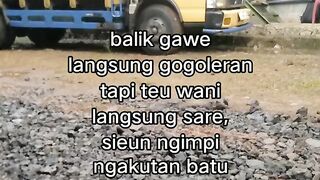 ayam broiler || kata kata lucu 406