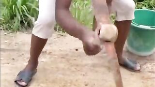 Comedy clip video