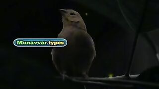 New Viral Tiktok