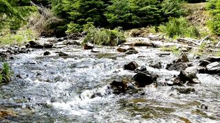 Sound of nature
