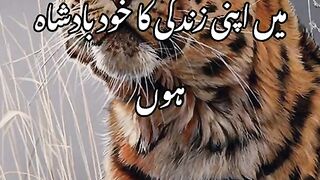 Poetry/ in Urdu