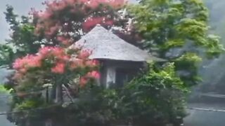 Beautiful view of nature