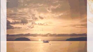 Beautiful view of nature