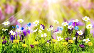 Nature Beauty 0039