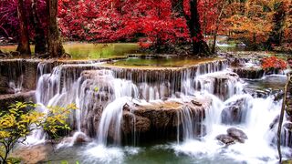 Nature Beauty 0041