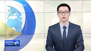 Le_Président_Xi_à_la_cérémonie_de_commémoration_des_héros_tombés_pour_le_pays(360p).