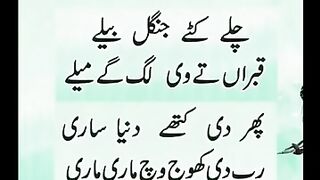 Sufi Kalam _  صوفی کلام #islamicvideo #ytshorts #religion