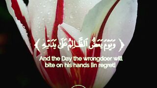 Quran Surah 23