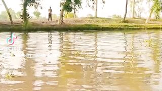 Funny TikTok video 8