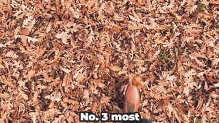 unique health fact number 3 most unique