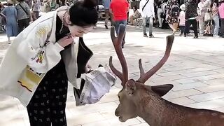 Funny clips 45