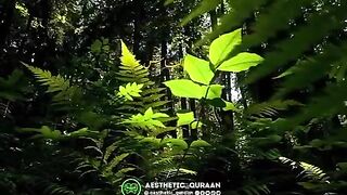 Quran translation in urdu 2