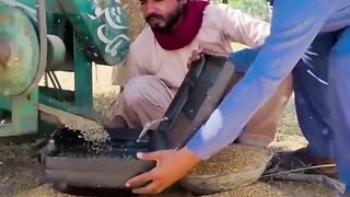 Shaikh Gandum Khareedny Pakistan Aagya