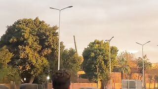 تدريب العقاب