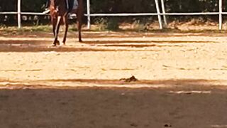 Riding 5