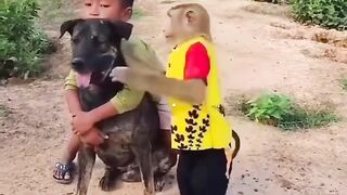 Amigos para sempre