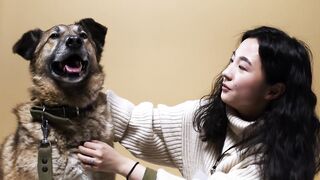 Woman Petting Dog Lying on the Floor
