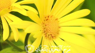 Quran Surah 25