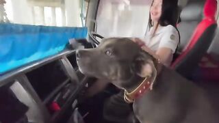 Female Tractor Driver