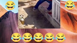Funny