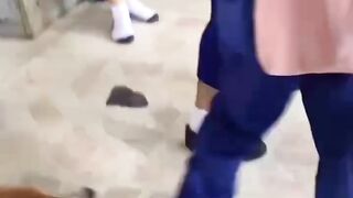 Funny videos funny 6
