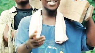 Come from Africa