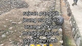 ayam broiler || kata kata lucu 422