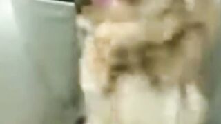 5 mindblowing facts about dog