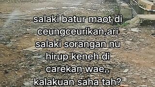 ayam broiler || kata kata lucu 423