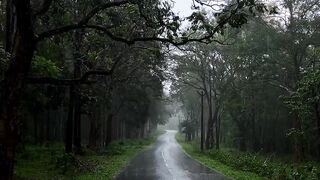Wayanad 3