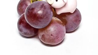 funny toy eat grapes